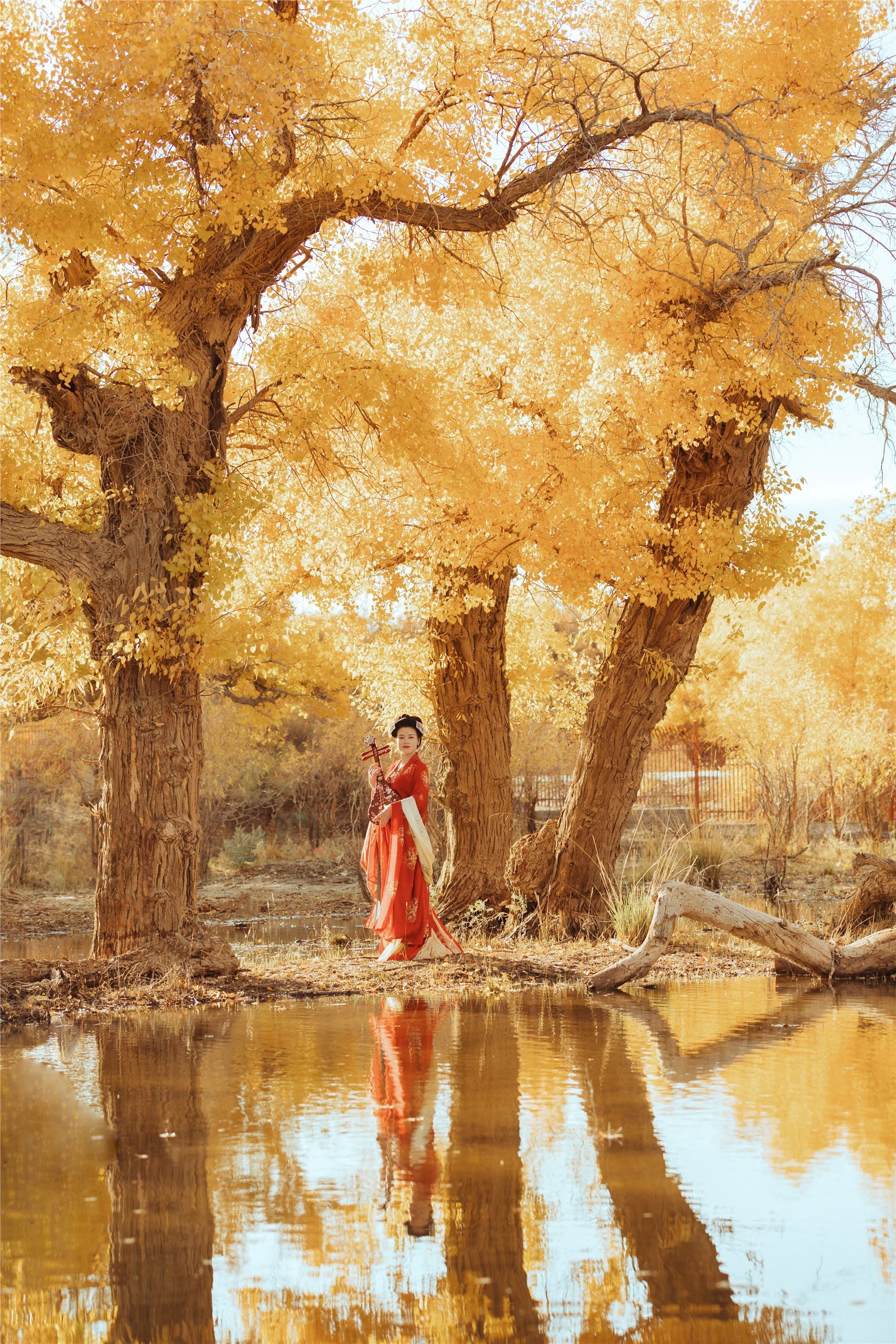 YITUYU艺图语 2021.09.03 岁月不败美人 知秋